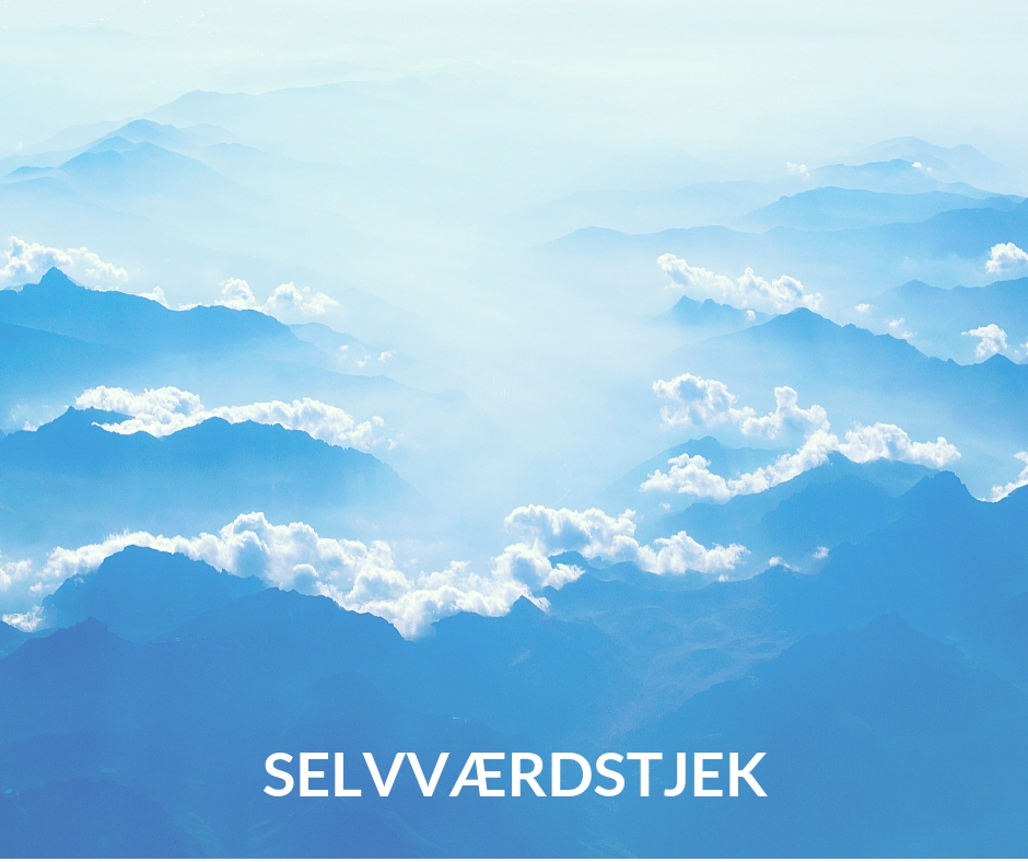 SELVVÆRDSTJEK-